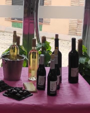 Taller y Maridaje de Vinos de Jaén